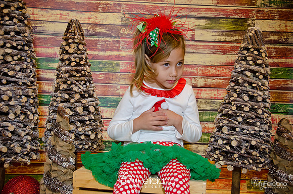 Navidades 2014-16147
