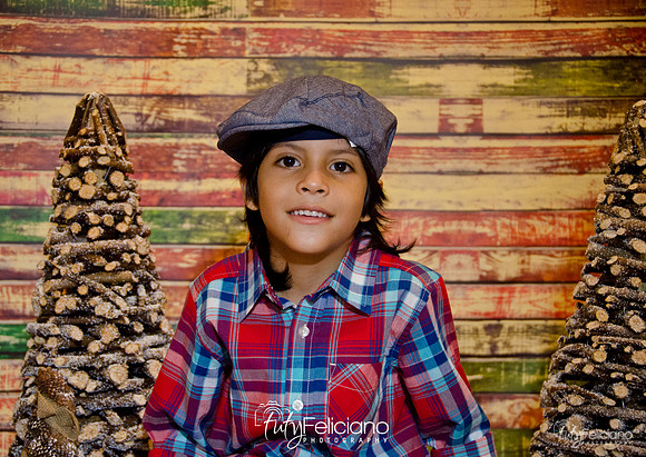 Navidades 2014-16197