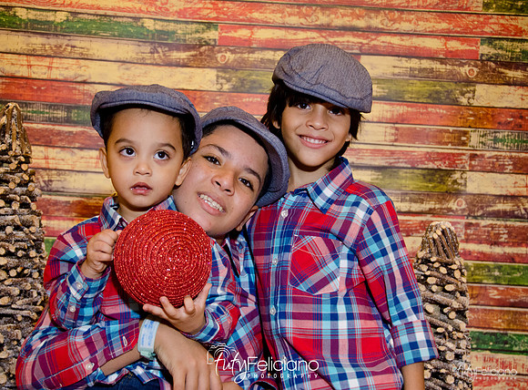 Navidades 2014-16376