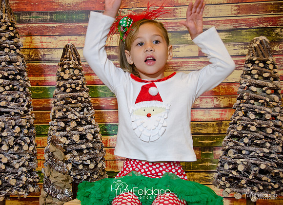 Navidades 2014-16152
