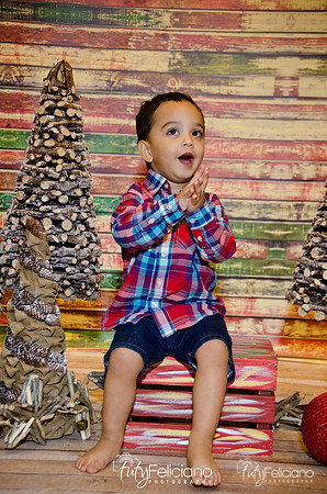 Navidad 2014-16788