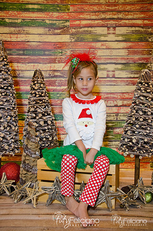 Navidades 2014-16130