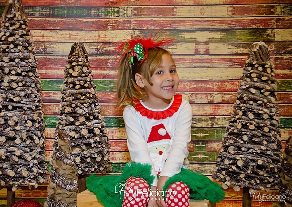 Navidades 2014-16173