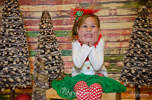 Navidades 2014-16161