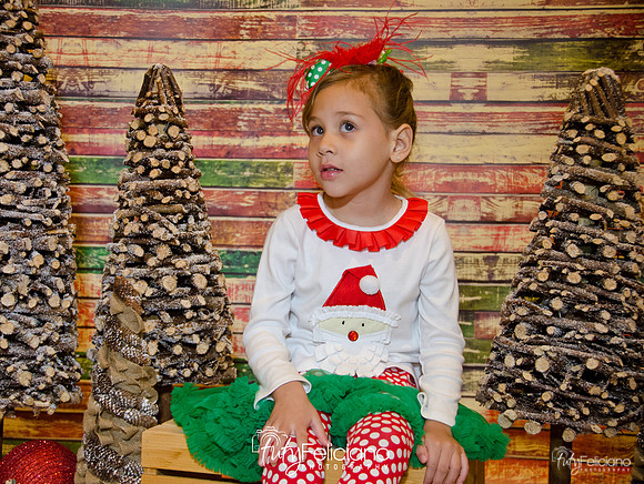 Navidades 2014-16154