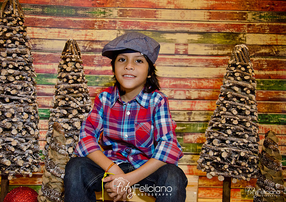 Navidades 2014-16189