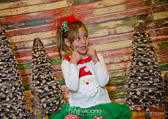 Navidades 2014-16180