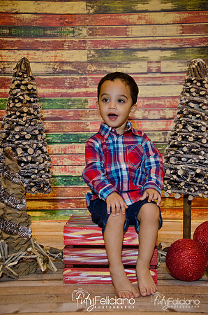 Navidad 2014-16724