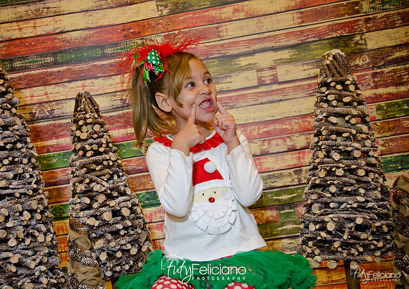 Navidades 2014-16182