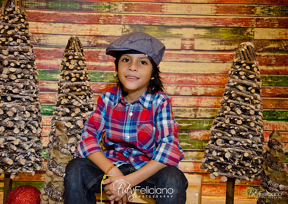 Navidades 2014-16195
