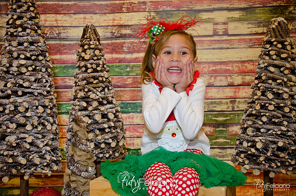 Navidades 2014-16162