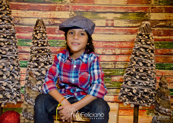 Navidades 2014-16191
