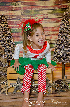 Navidades 2014-16133