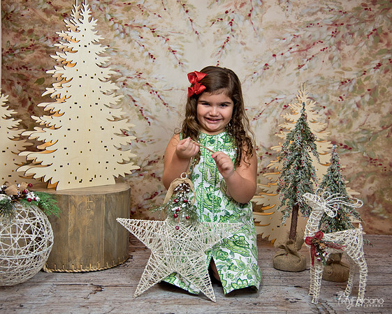nav-388