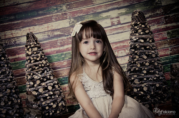 Navidad2014-12544