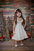 Navidad2014-12416