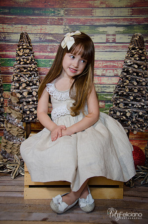 Navidad2014-12486