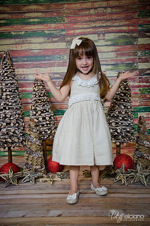 Navidad2014-12424