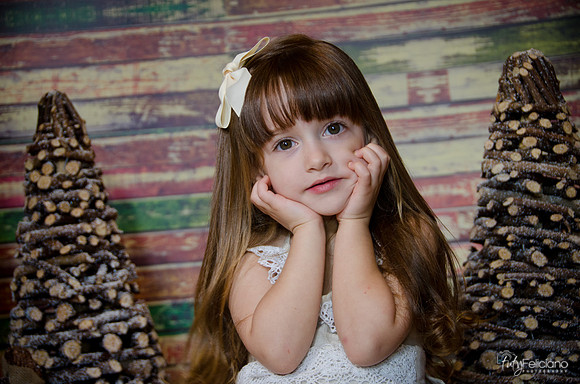 Navidad2014-12505