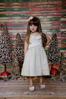 Navidad2014-12411