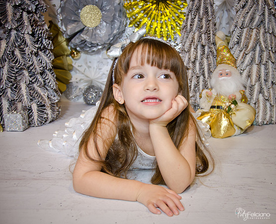 Navidad2014-12609