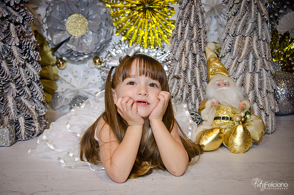 Navidad2014-12615