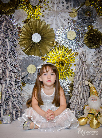 Navidad2014-12558