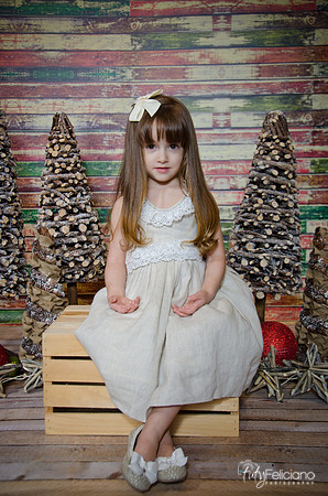 Navidad2014-12428