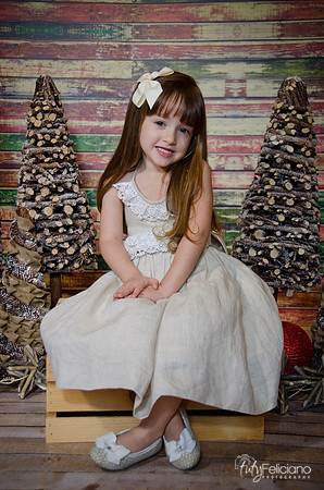 Navidad2014-12484