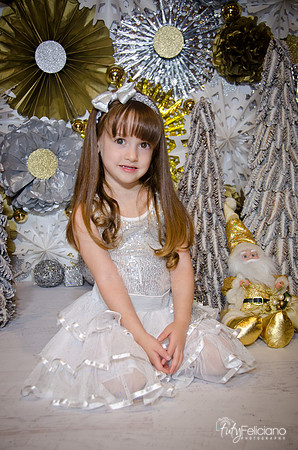 Navidad2014-12634
