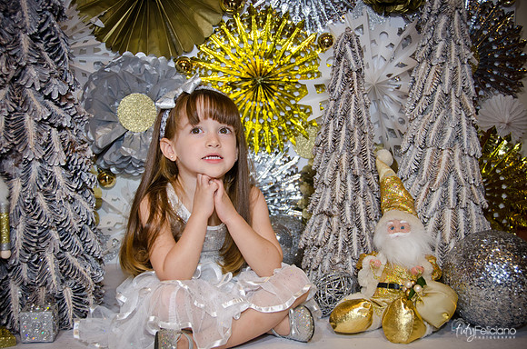 Navidad2014-12580