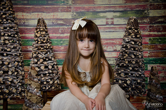 Navidad2014-12450