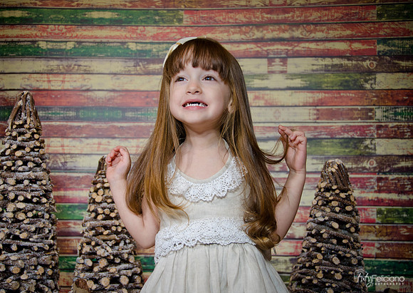 Navidad2014-12470
