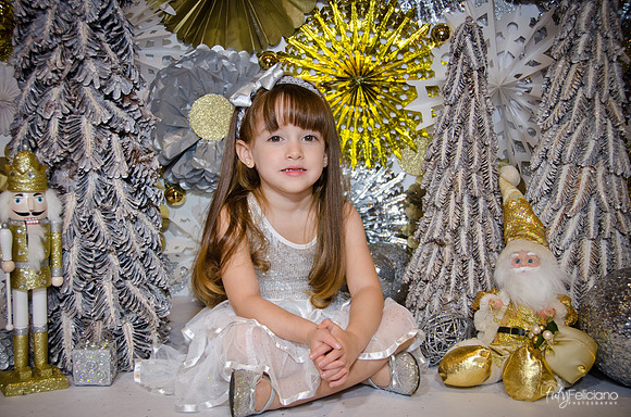 Navidad2014-12575