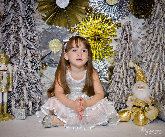 Navidad2014-12555