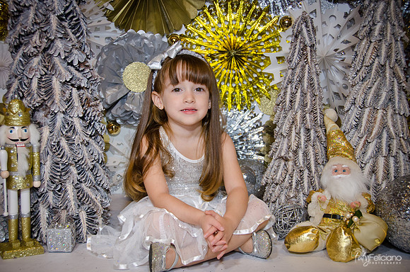 Navidad2014-12574