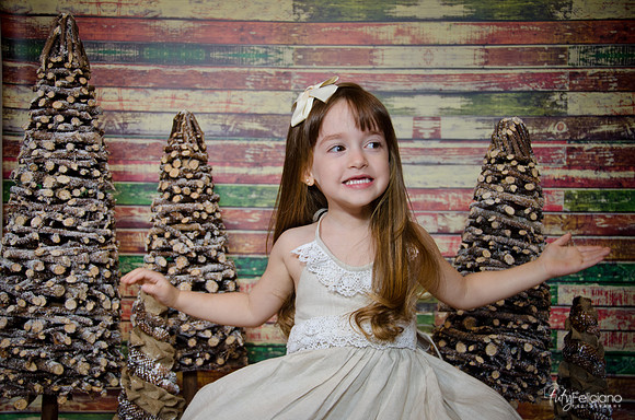 Navidad2014-12466