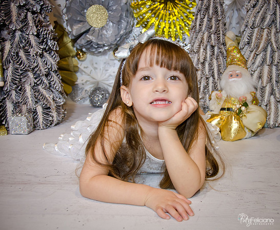 Navidad2014-12608