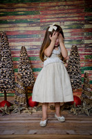 Navidad2014-12421