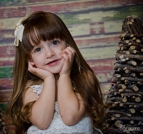Navidad2014-12503