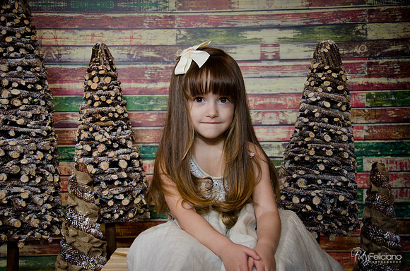 Navidad2014-12452