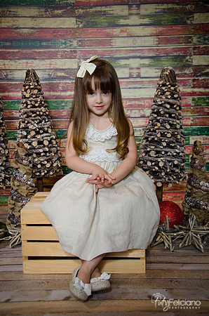 Navidad2014-12434