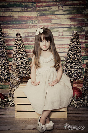 Navidad2014-12429