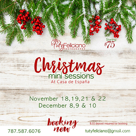 Flier Navidad 2016