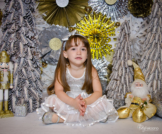 Navidad2014-12554