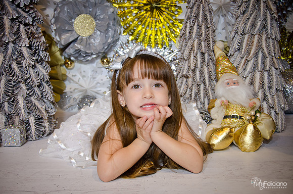 Navidad2014-12611