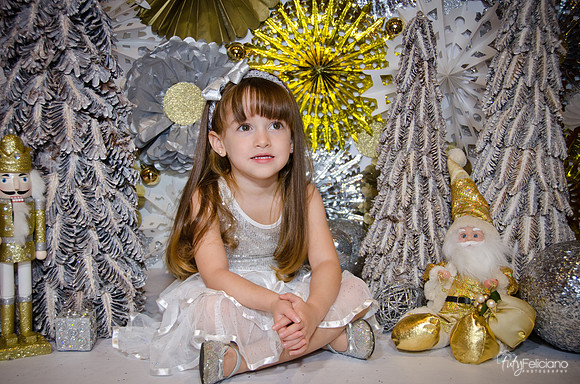 Navidad2014-12578