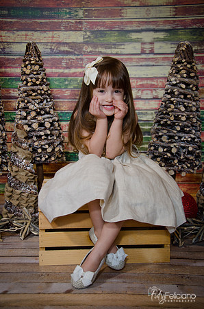 Navidad2014-12496