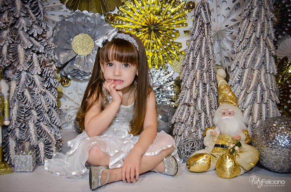 Navidad2014-12589