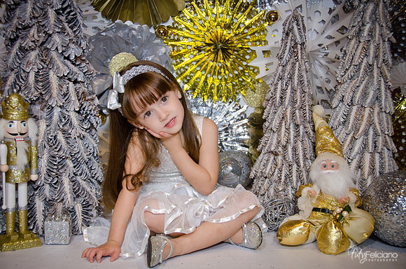 Navidad2014-12601